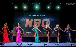 FIT-MODEL +164 (2 раунд)